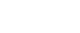 汉狮科技